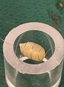 Close acrylic tubes around the kernel